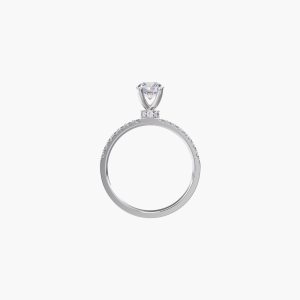 Alternative view of Aurora Ray