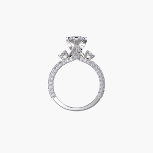 Alternative view of Lustra Halo