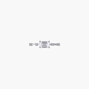 Alternative view of CELESTIAL SHINE